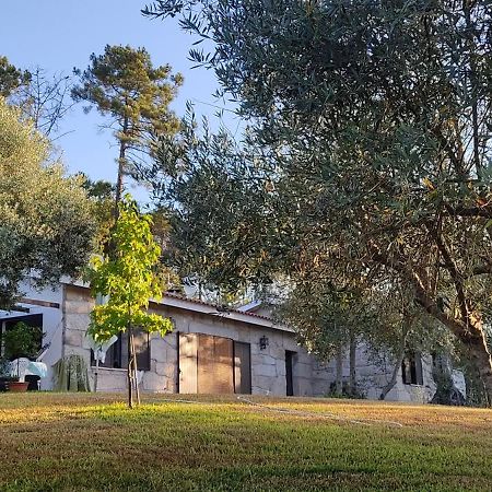 בית הארחה Santar 	Quinta Da Pedra Mija מראה חיצוני תמונה
