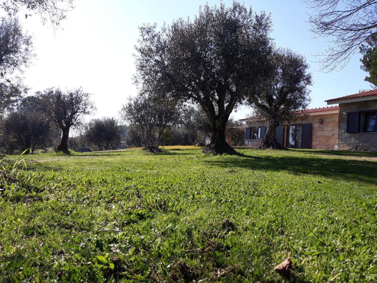 בית הארחה Santar 	Quinta Da Pedra Mija מראה חיצוני תמונה
