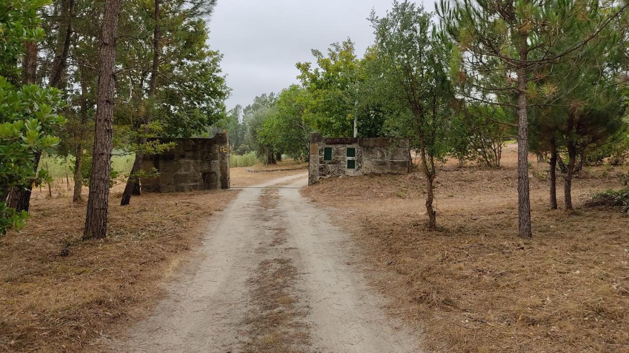 בית הארחה Santar 	Quinta Da Pedra Mija מראה חיצוני תמונה
