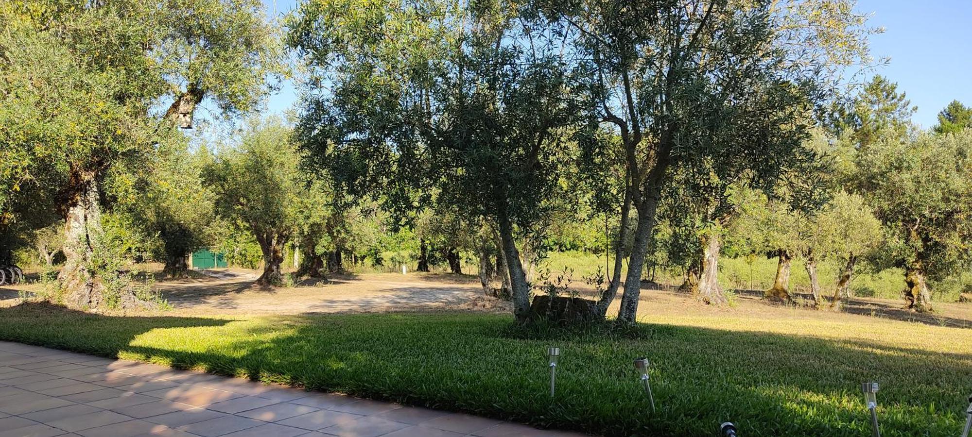 בית הארחה Santar 	Quinta Da Pedra Mija מראה חיצוני תמונה