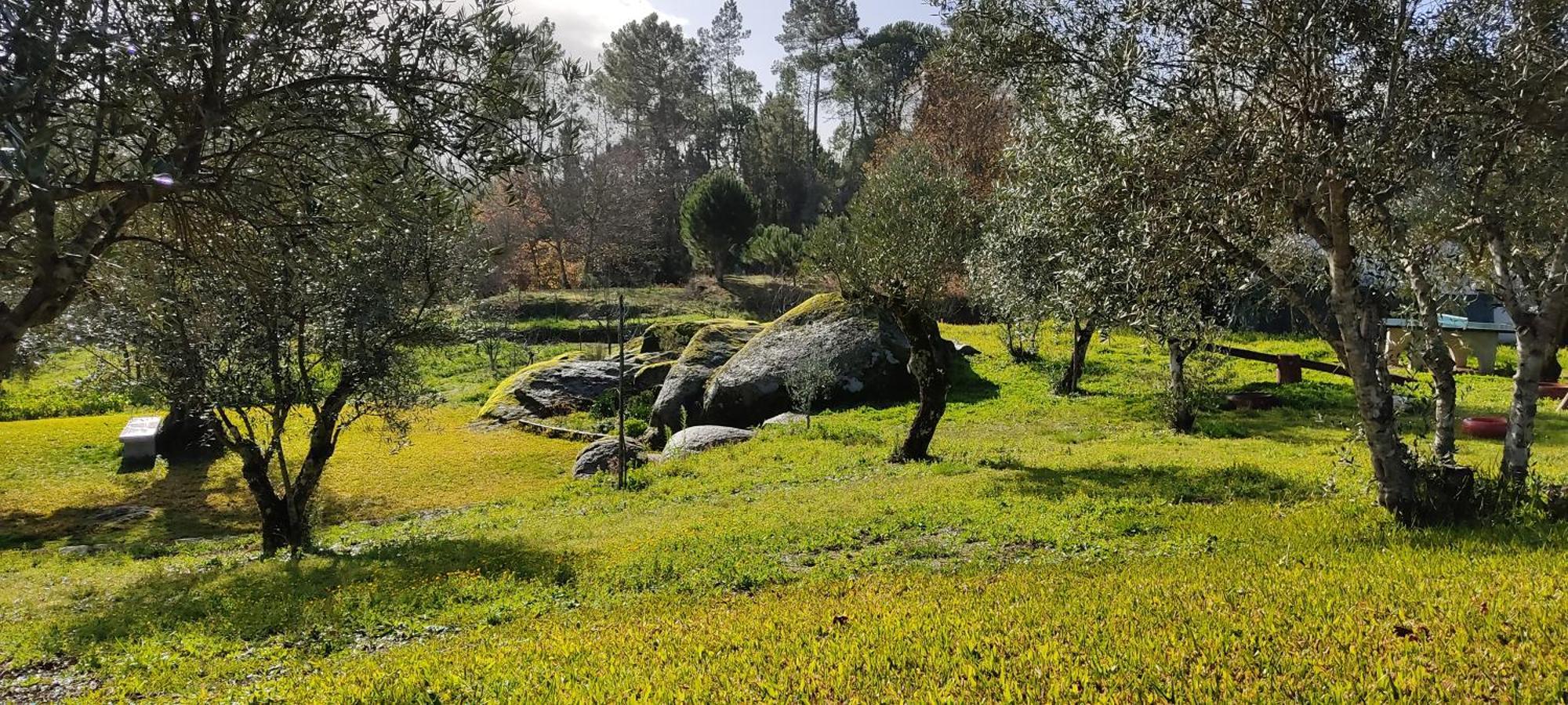 בית הארחה Santar 	Quinta Da Pedra Mija מראה חיצוני תמונה