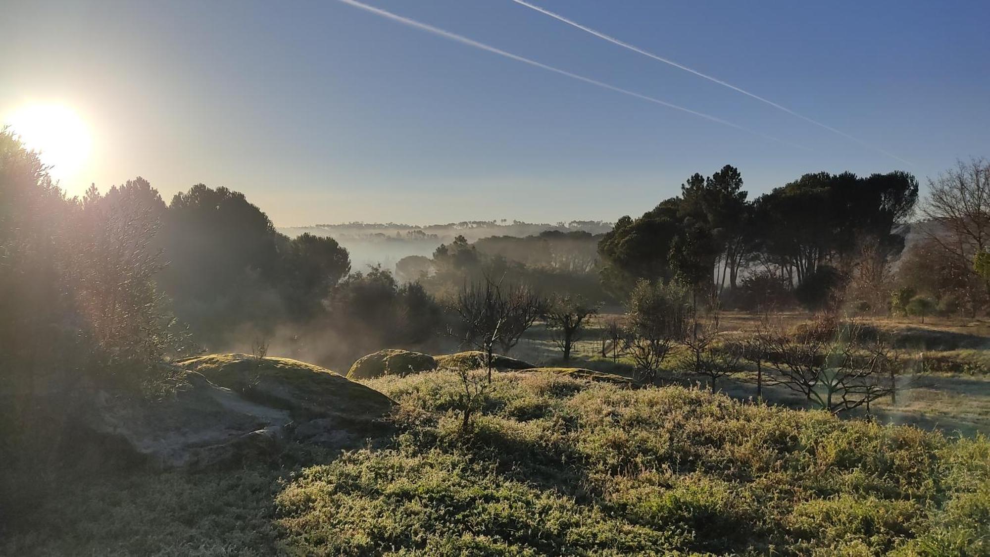 בית הארחה Santar 	Quinta Da Pedra Mija מראה חיצוני תמונה