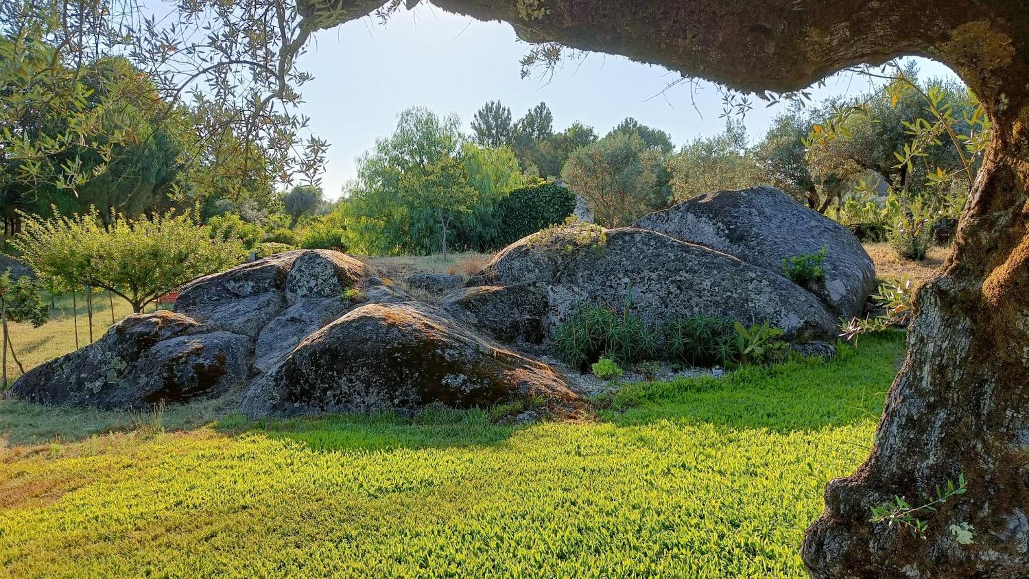 בית הארחה Santar 	Quinta Da Pedra Mija מראה חיצוני תמונה