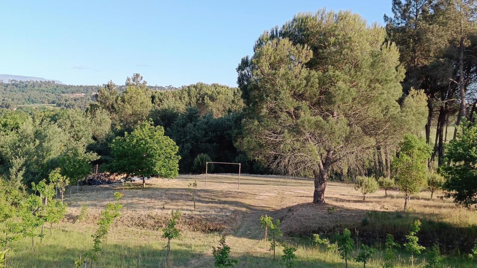 בית הארחה Santar 	Quinta Da Pedra Mija מראה חיצוני תמונה