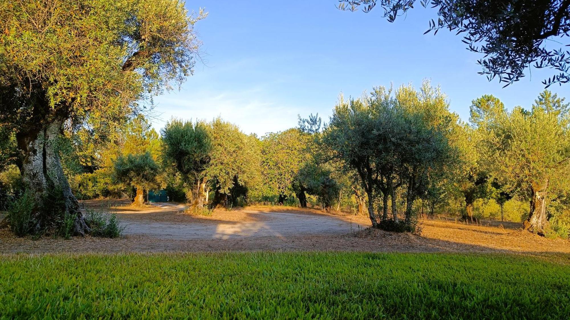 בית הארחה Santar 	Quinta Da Pedra Mija מראה חיצוני תמונה