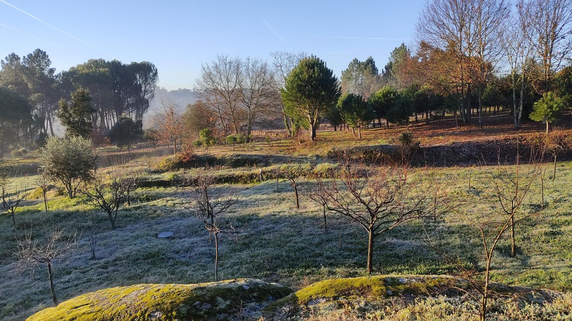 בית הארחה Santar 	Quinta Da Pedra Mija מראה חיצוני תמונה