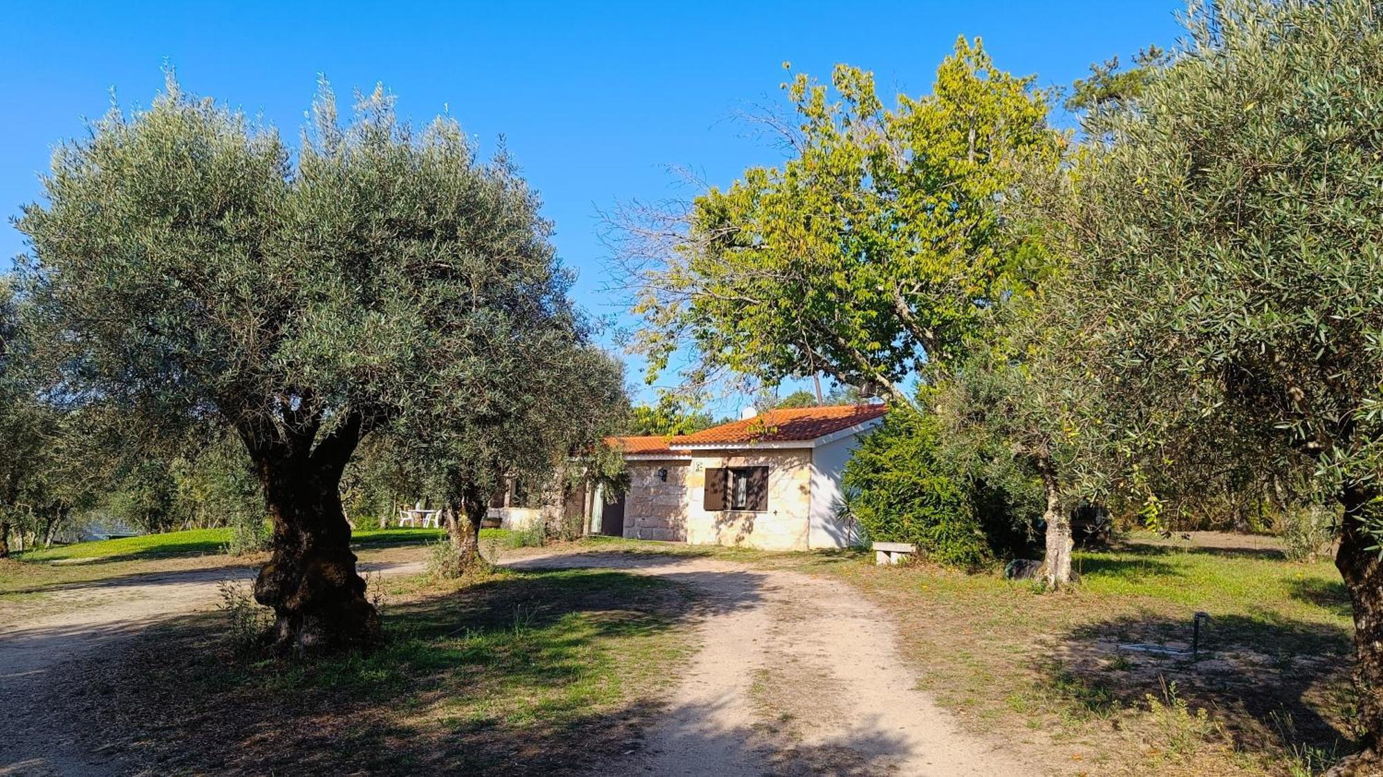בית הארחה Santar 	Quinta Da Pedra Mija מראה חיצוני תמונה