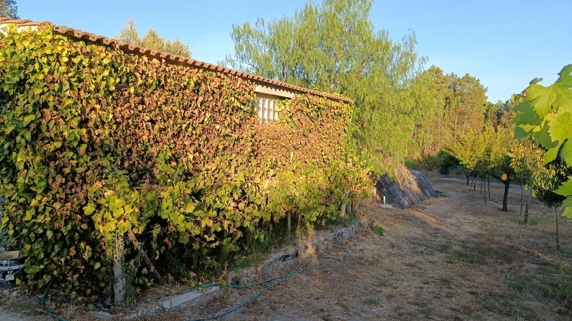 בית הארחה Santar 	Quinta Da Pedra Mija מראה חיצוני תמונה