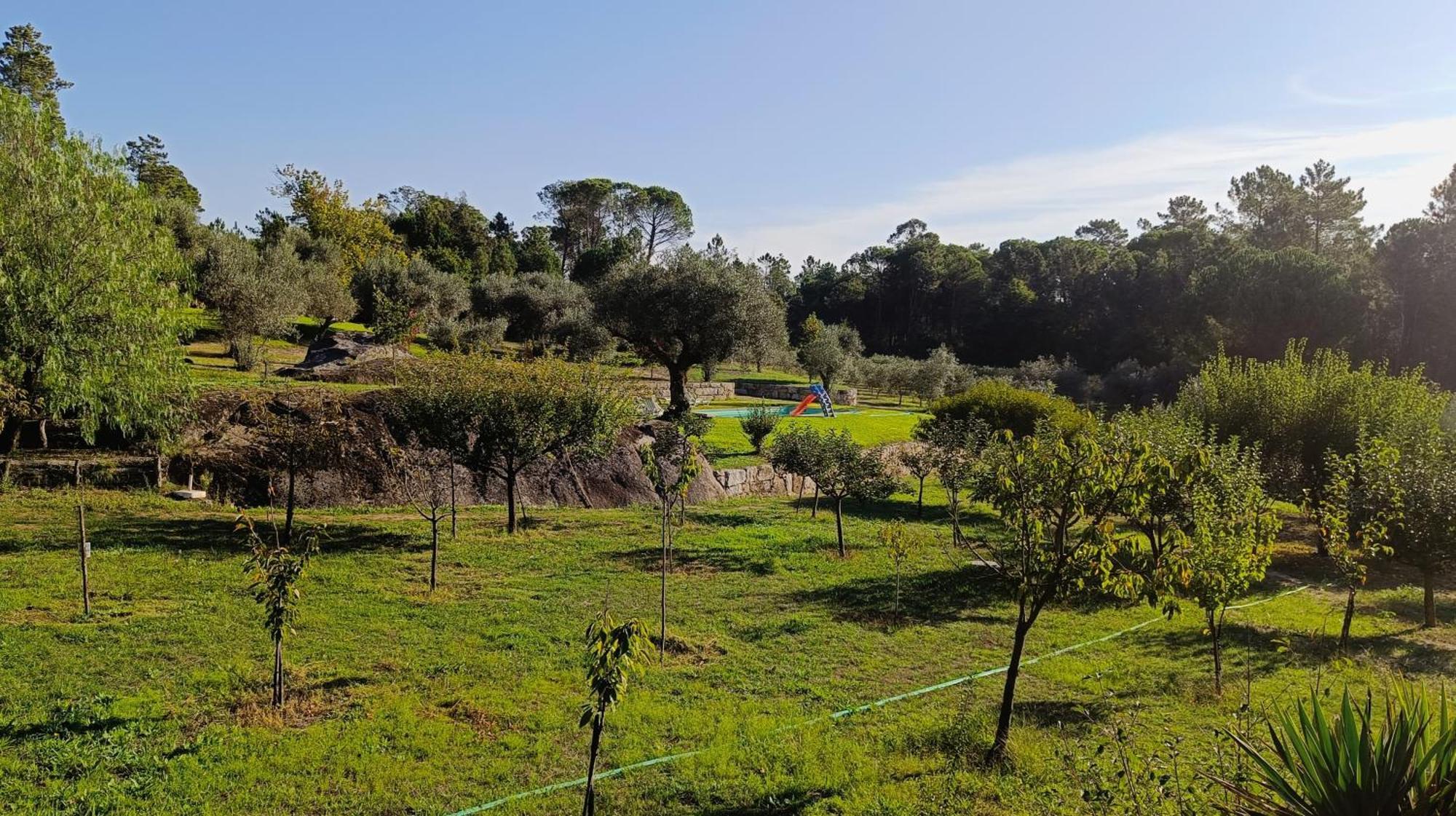 בית הארחה Santar 	Quinta Da Pedra Mija מראה חיצוני תמונה