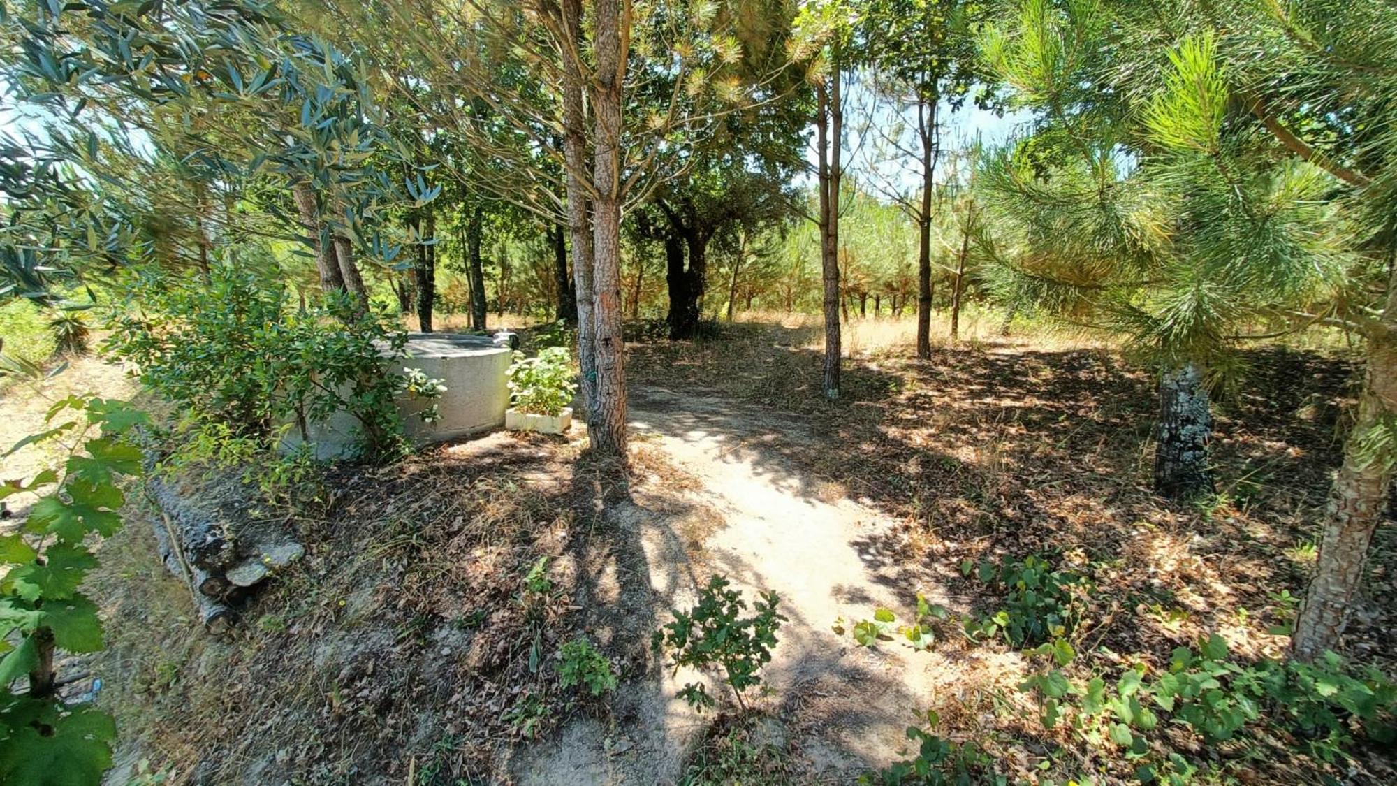 בית הארחה Santar 	Quinta Da Pedra Mija מראה חיצוני תמונה