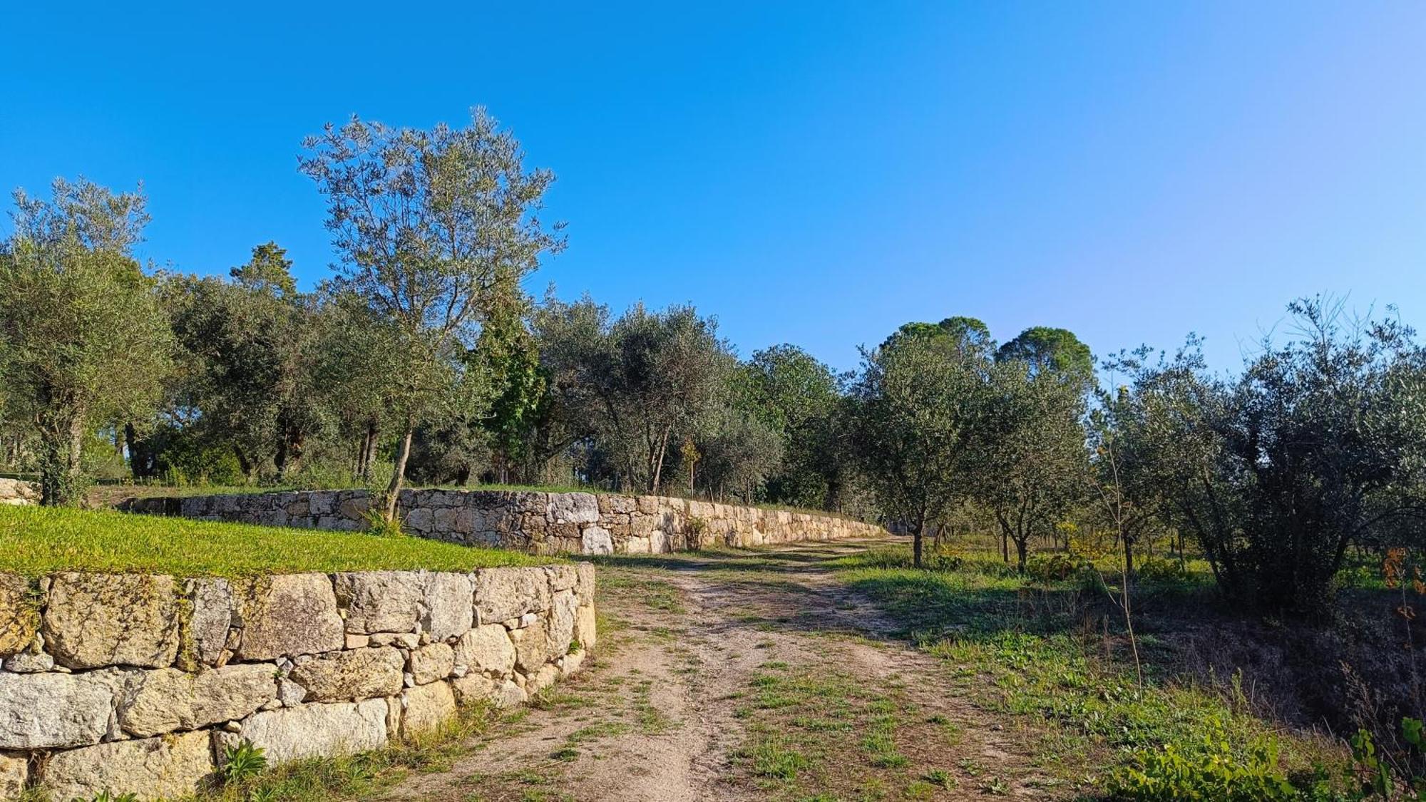 בית הארחה Santar 	Quinta Da Pedra Mija מראה חיצוני תמונה