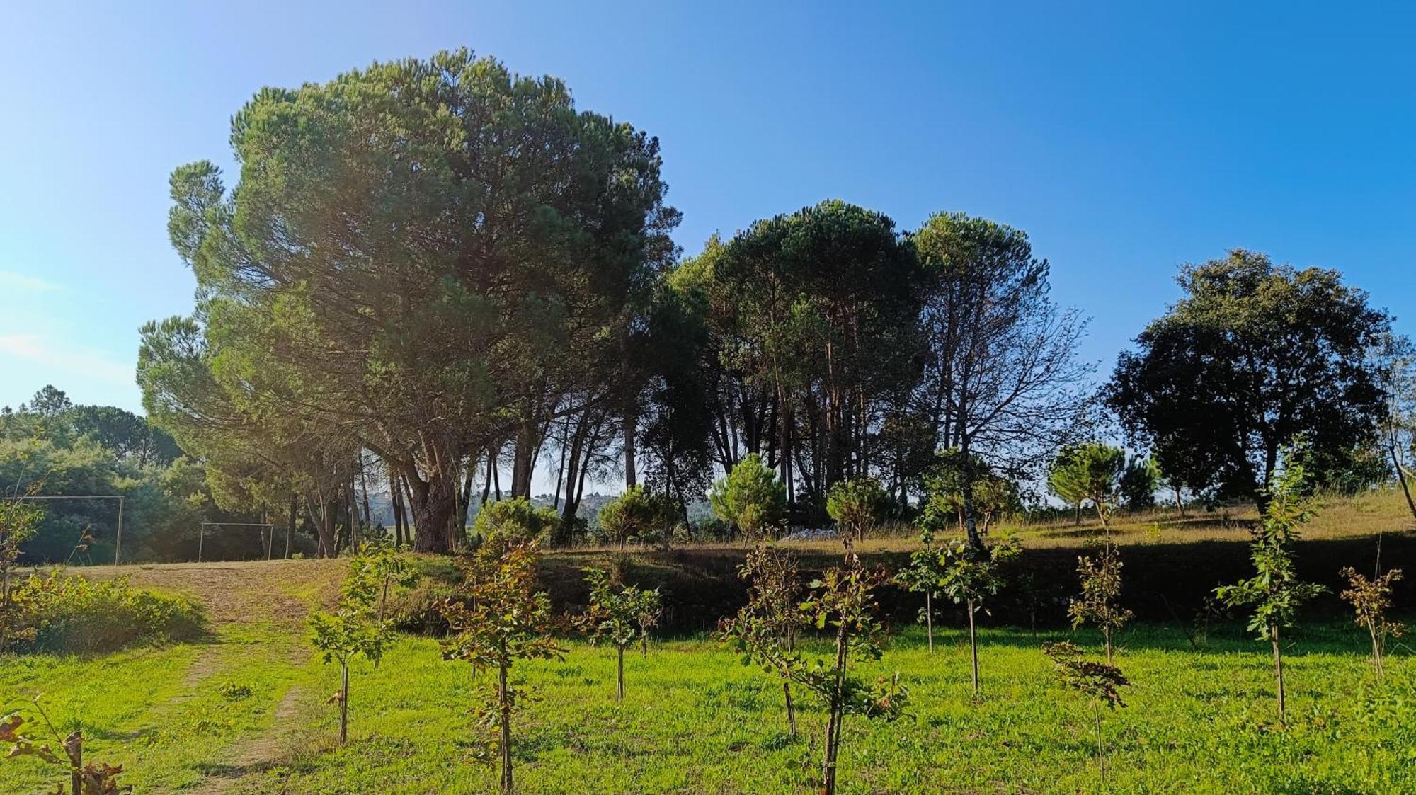 בית הארחה Santar 	Quinta Da Pedra Mija מראה חיצוני תמונה