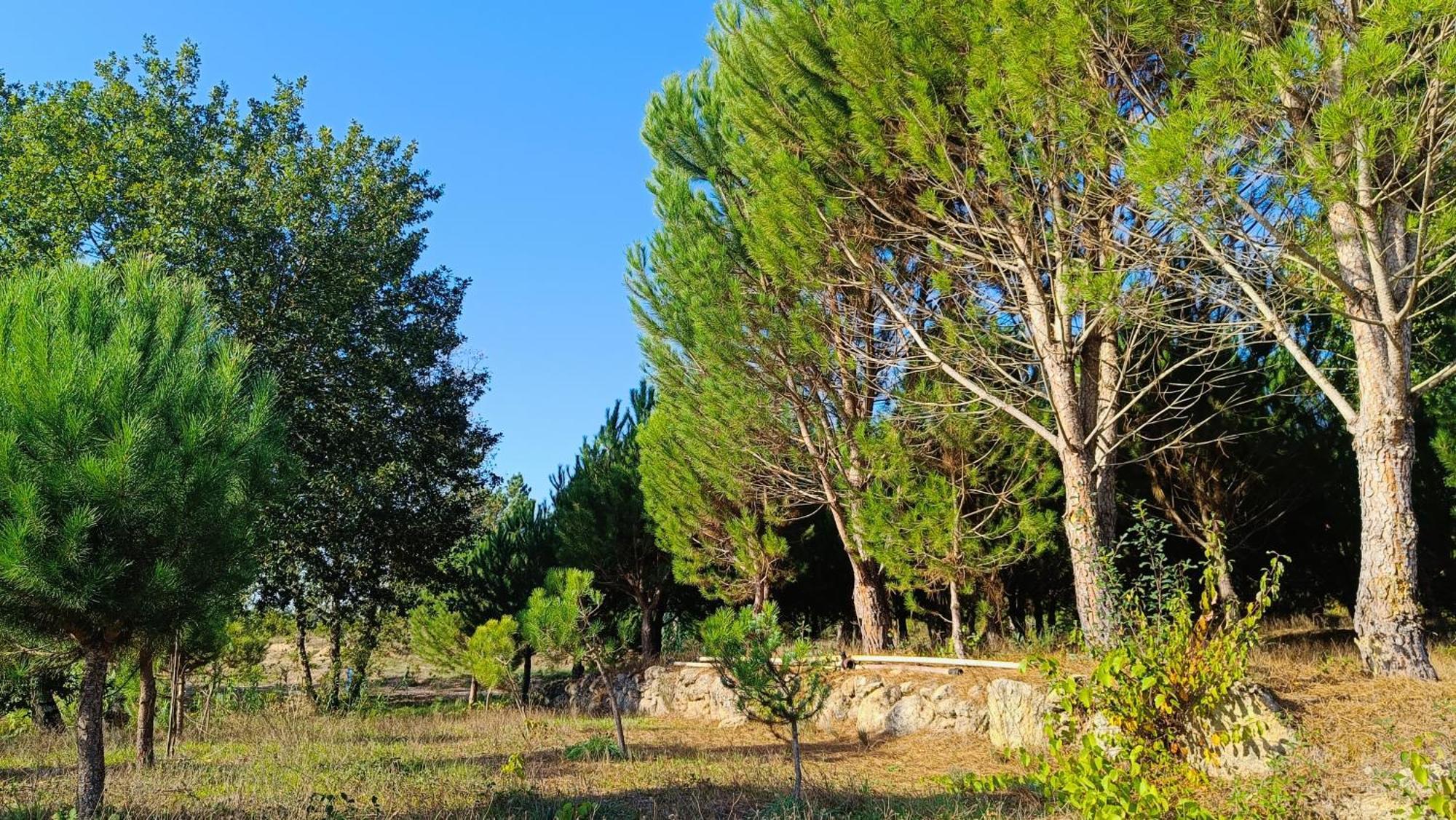 בית הארחה Santar 	Quinta Da Pedra Mija מראה חיצוני תמונה