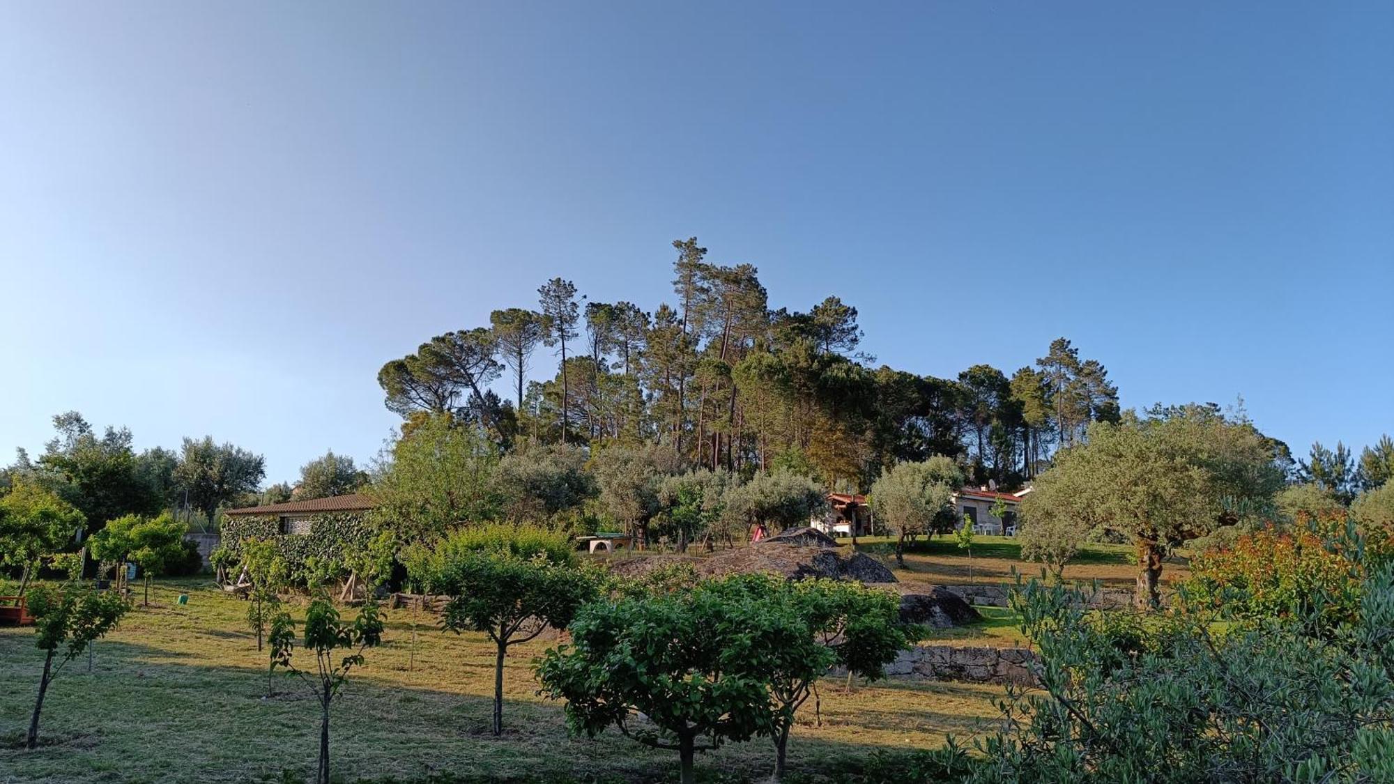 בית הארחה Santar 	Quinta Da Pedra Mija מראה חיצוני תמונה