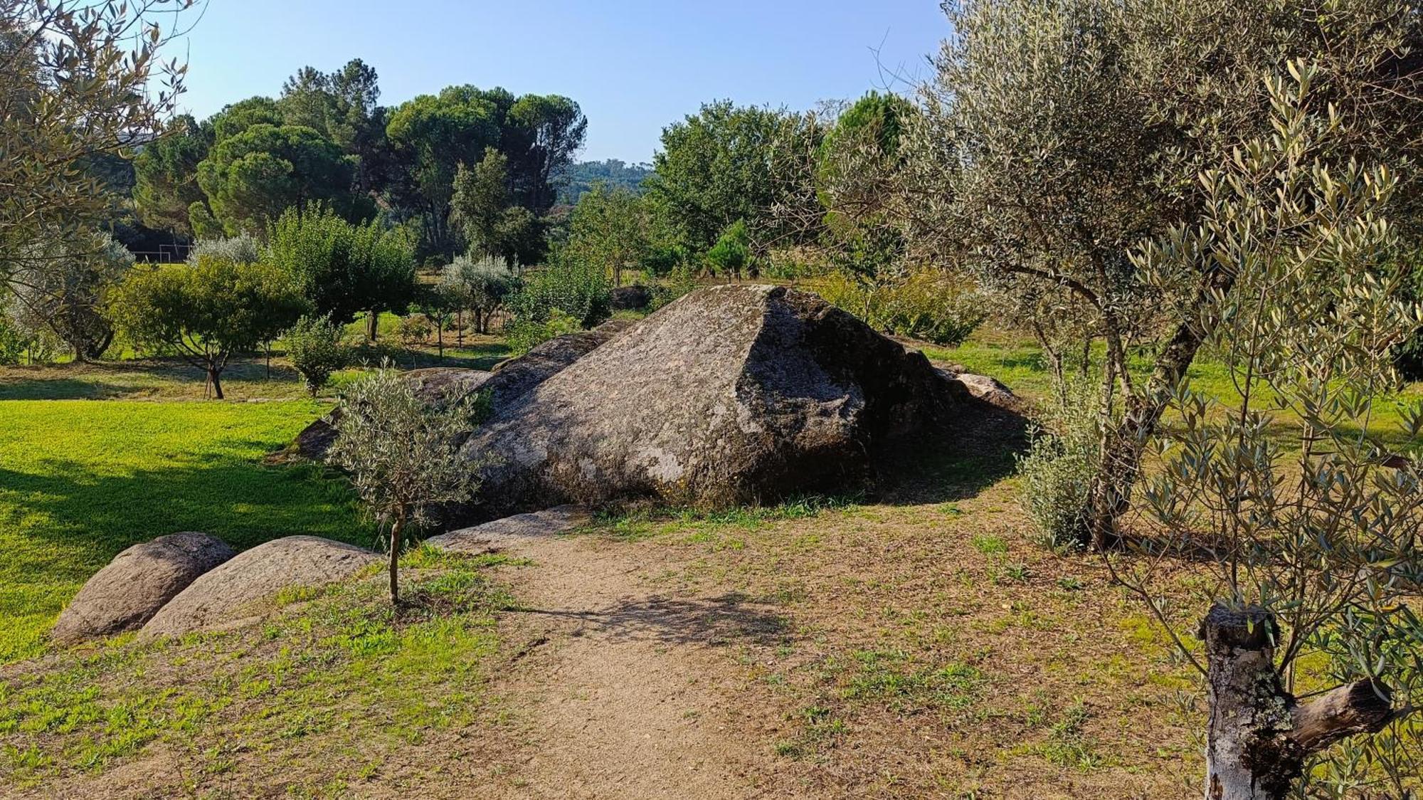 בית הארחה Santar 	Quinta Da Pedra Mija מראה חיצוני תמונה