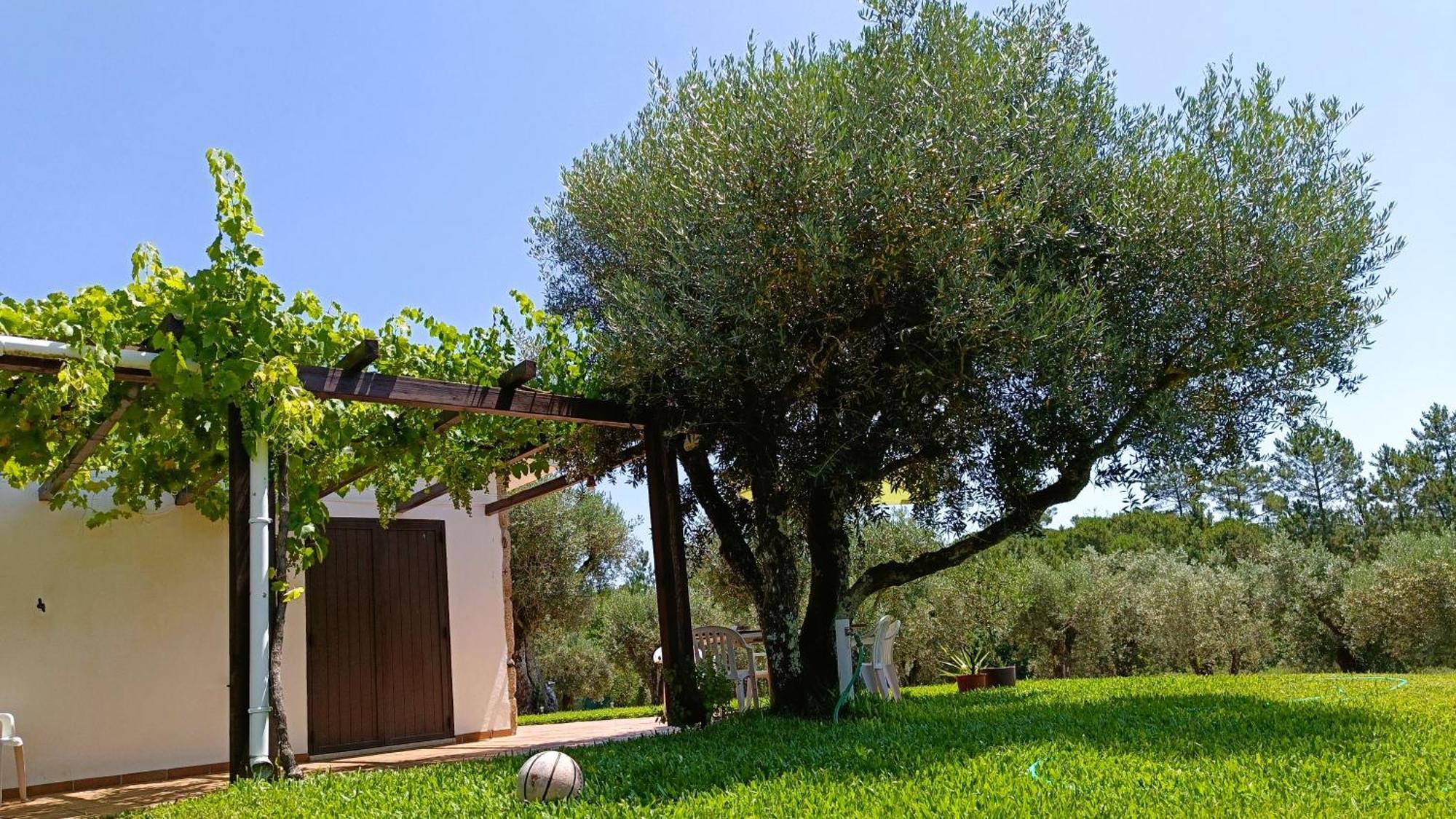 בית הארחה Santar 	Quinta Da Pedra Mija מראה חיצוני תמונה
