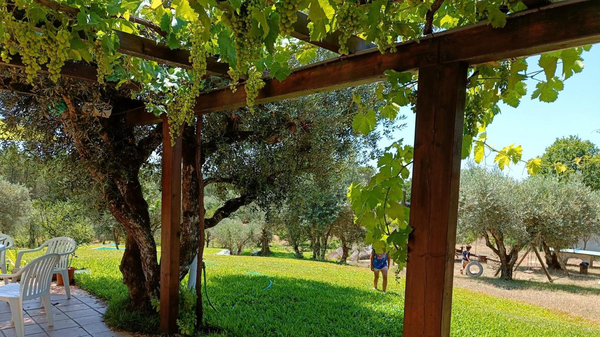 בית הארחה Santar 	Quinta Da Pedra Mija מראה חיצוני תמונה