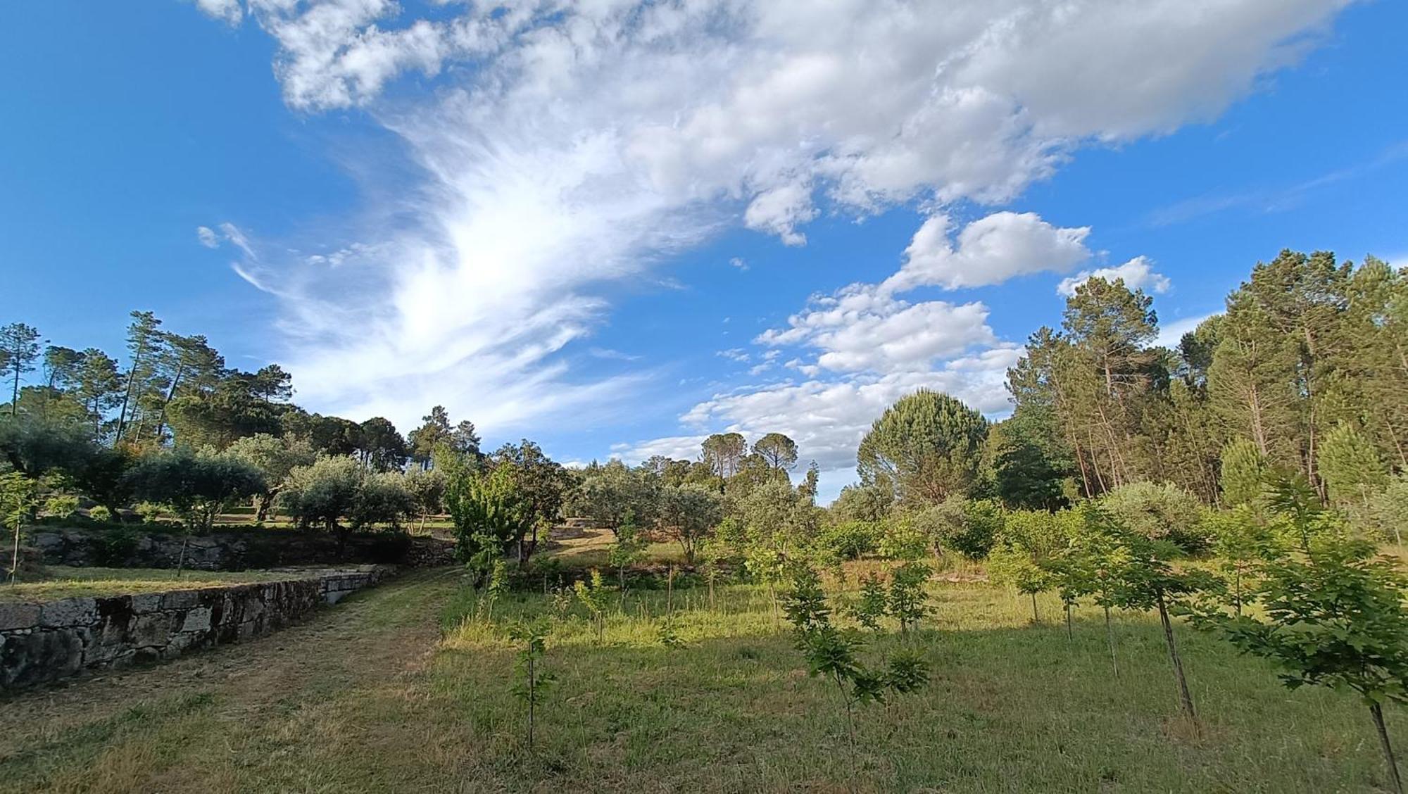 בית הארחה Santar 	Quinta Da Pedra Mija מראה חיצוני תמונה