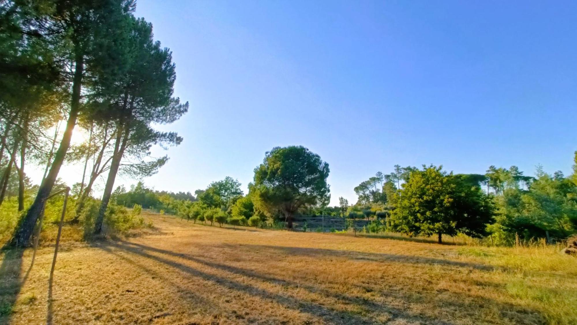 בית הארחה Santar 	Quinta Da Pedra Mija מראה חיצוני תמונה