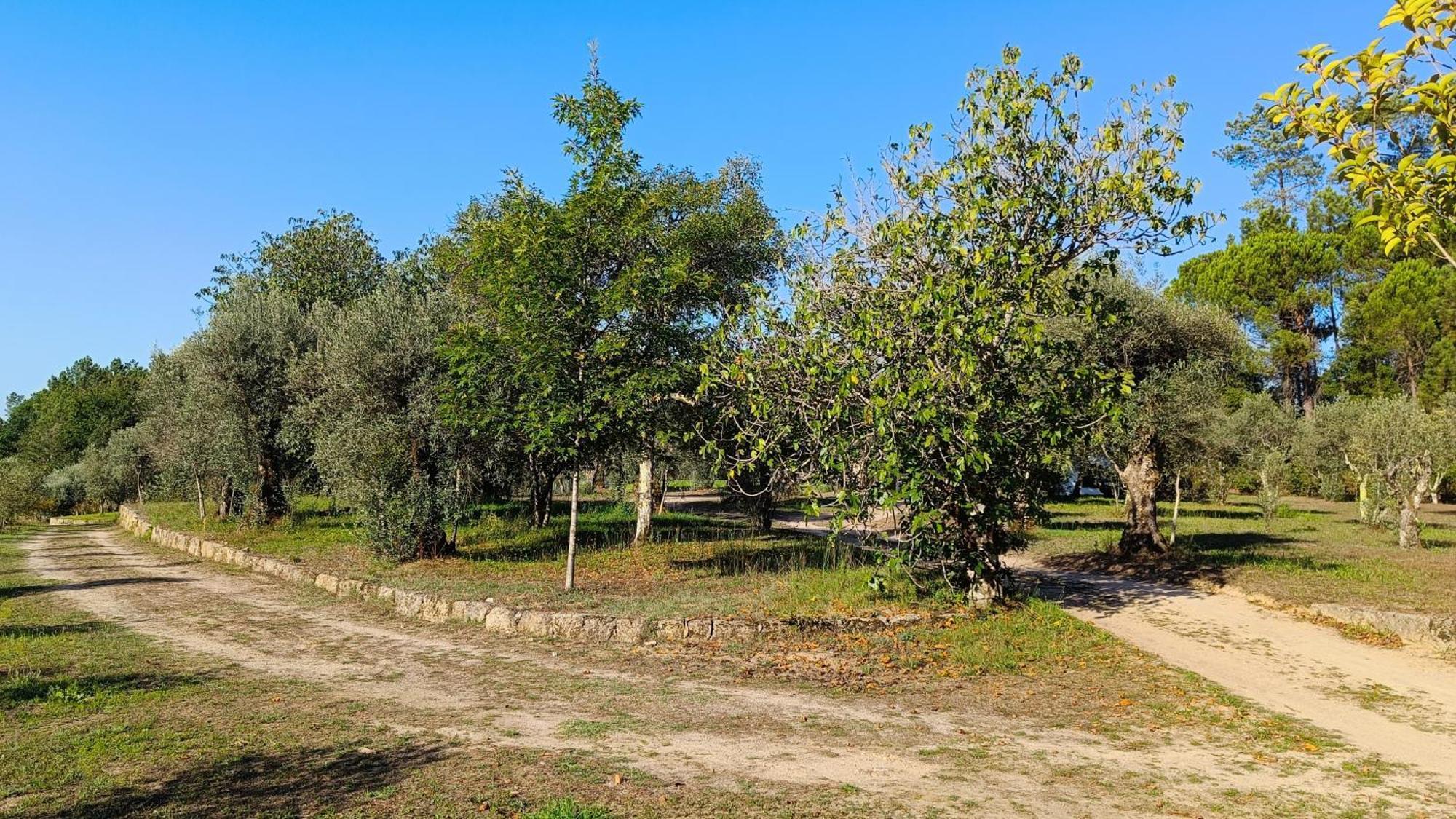 בית הארחה Santar 	Quinta Da Pedra Mija מראה חיצוני תמונה