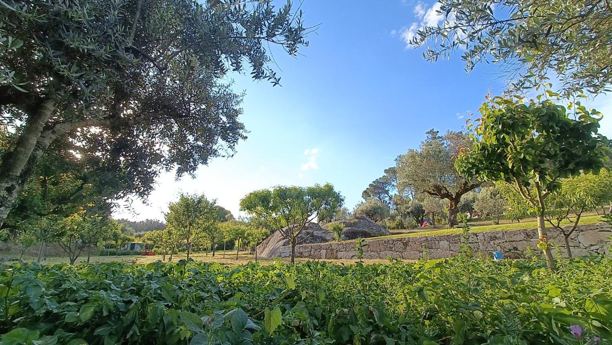 בית הארחה Santar 	Quinta Da Pedra Mija מראה חיצוני תמונה