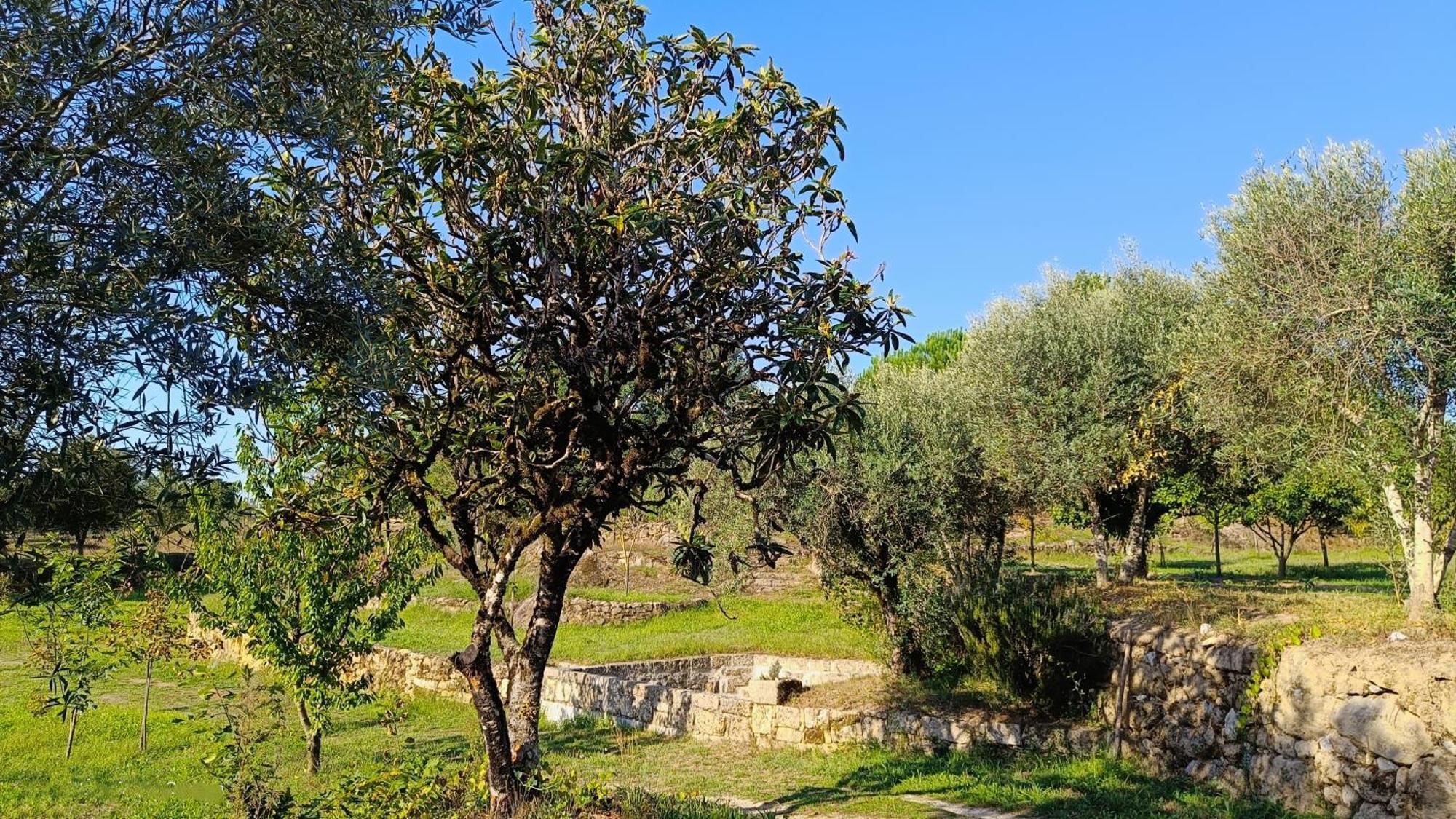 בית הארחה Santar 	Quinta Da Pedra Mija מראה חיצוני תמונה