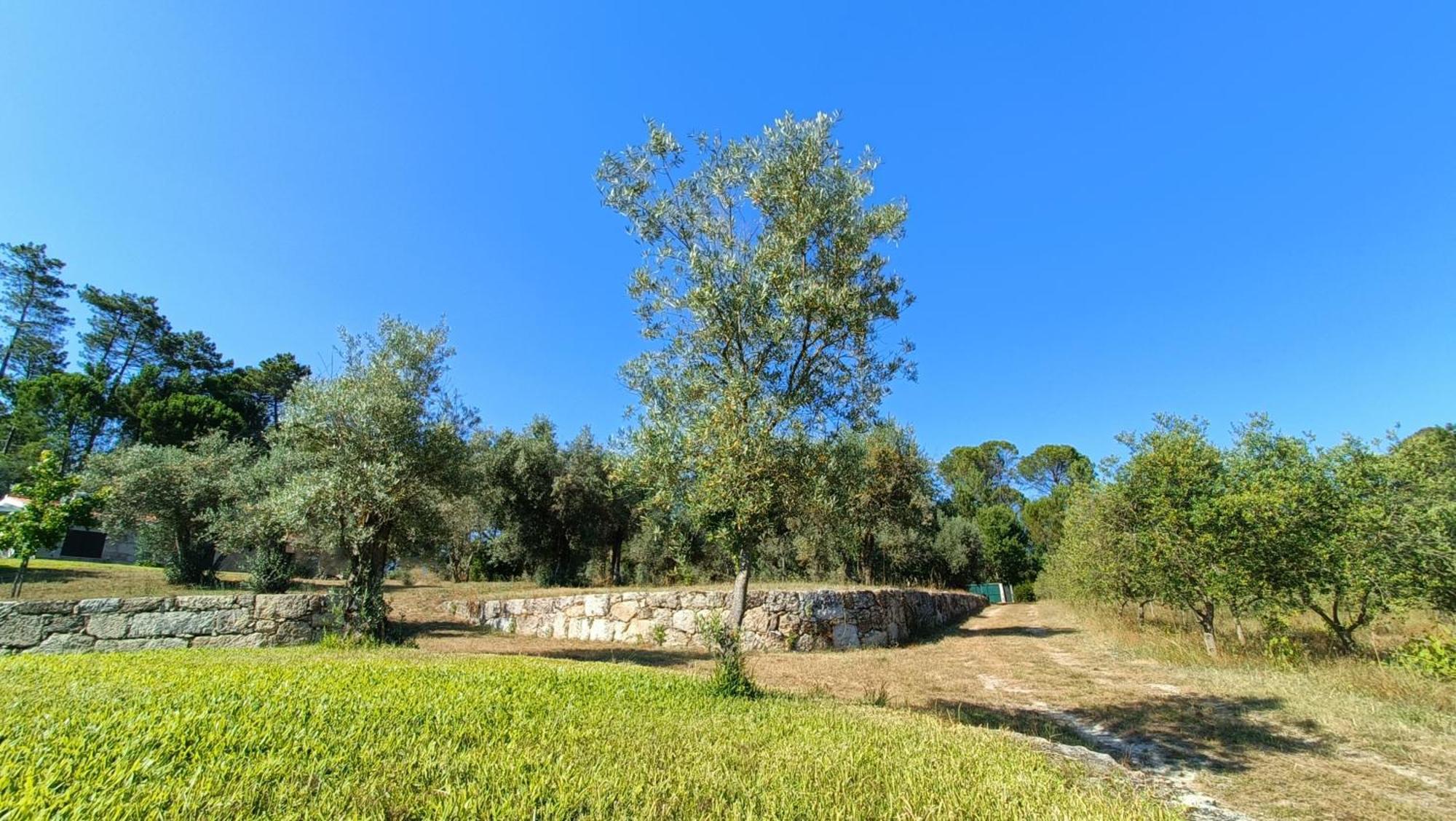 בית הארחה Santar 	Quinta Da Pedra Mija מראה חיצוני תמונה
