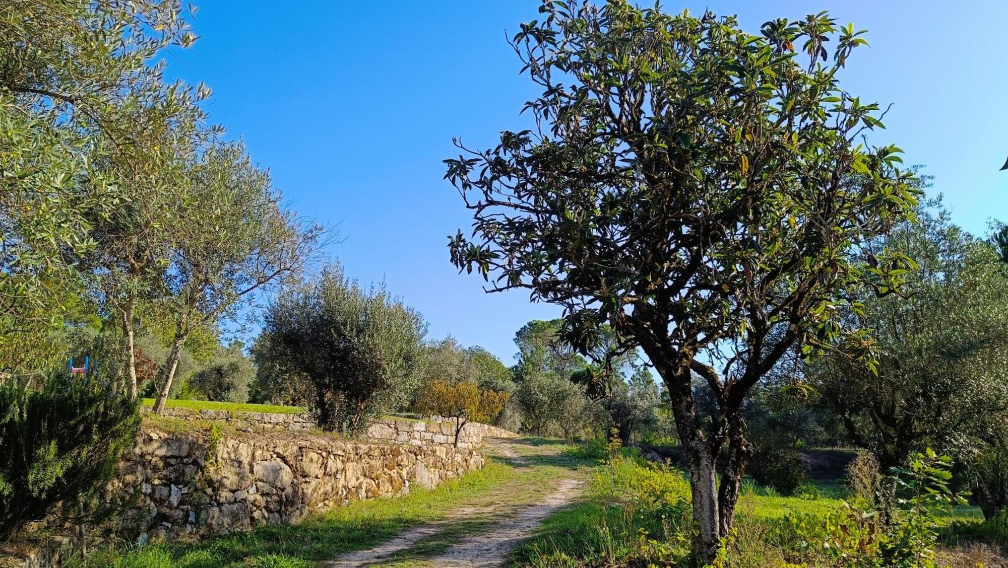 בית הארחה Santar 	Quinta Da Pedra Mija מראה חיצוני תמונה